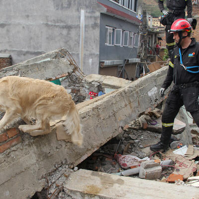 Nuestro distribuidor JS L´Olleria participó en ayudas humanitarias en Nepal